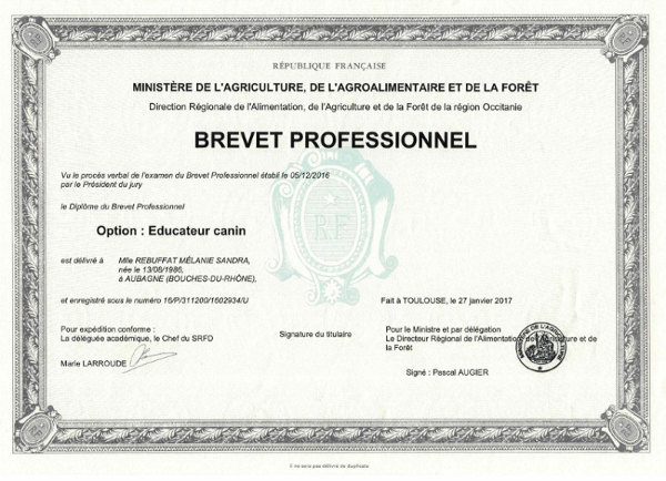 Références – Educateur Comportementementaliste Canin à Références – Educateur Comportementementaliste Canin à