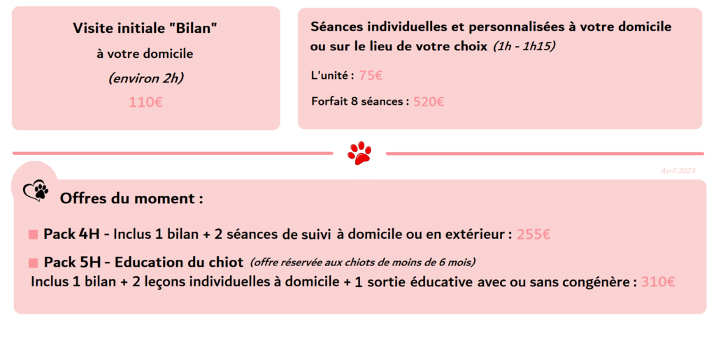 comportementaliste shiba inu