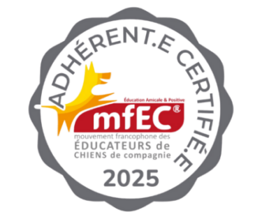Education canine Amicale & positive