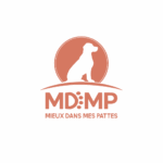 Logo MDMP Fond transparent®